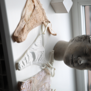 набір жіночих трусиків